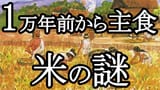 縄文米