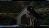 BENJAMIN&#039;S_DOG