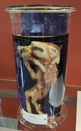IMG_20250615_171016