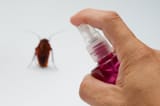 natural-cockroach-repellents