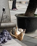 IMG_20250615_065151_034