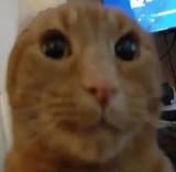 1728658011118268