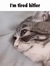 imtired