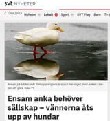 anka