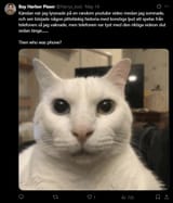 1728927313150275
