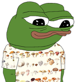 Thread 213123636 OP Image