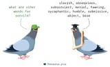 images
