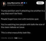 trump elon masculinity