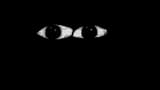 Thread 213754580 OP Image