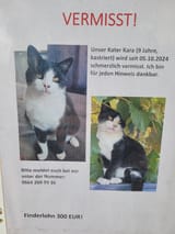 20241103_095840 - Kopie