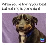 when-youre-trying-your-best-but-nothing-is-going-right-meme