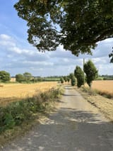 IMG_7405