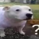 1723087423464065