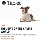 jews