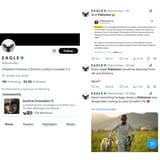 eagle indian twitter