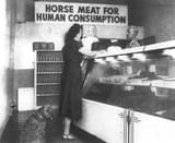 Los_Angeles_horse_meat_butcher_shop_1951