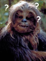 fragezeichenchewbacca