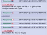 Dutch pajeet2