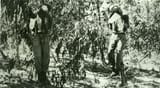 British_sergeants_kidnapped_and_hanged_by_the_Irgun,_1947-2