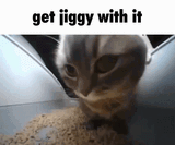 1728987691816623