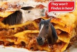 findus