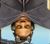 1747866634124758