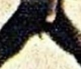 TBP
