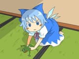 cirno about to kill a dumb frogposter