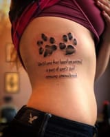 love animals