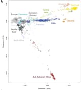 World DNA Cluster