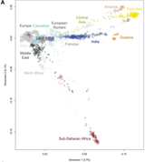 World DNA Cluster_HD