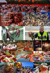 Crayfish Party Sweden