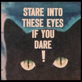 bergeyes