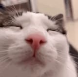 sniffable