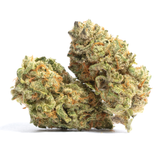 strain-33-2178228326