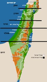 654867