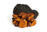 Chaga