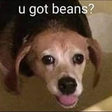 1736935468037458
