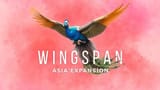 wingspanasia