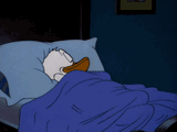 donald