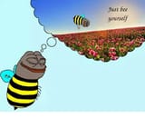 6DDFE24F-F1F9-4127-A0A6-38412342EC7B-6204-0000031C800F96CE