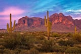 sonoran-desert-us-anton-foltin