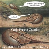 1720833834895