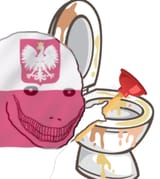poland and toilet