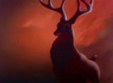 red deer