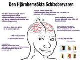 schizobrevaren