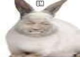 1726012589971471