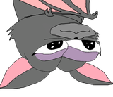 apufledermaus