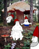 skogsluff
