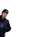 1720298335833909